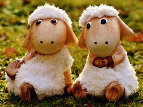Free Images : flower, animal, cute, sheep, ceramic, wool, deco, face, figure, toys, funny, plush ...