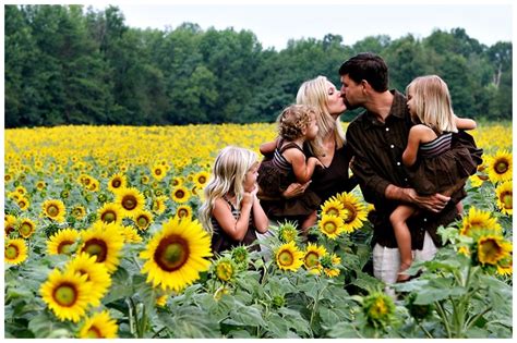 Sunflower fields family picture | Sunflower photography, Sunflower ...