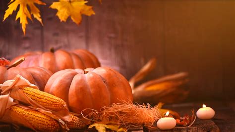 Thanksgiving Day Harvest image - Free stock photo - Public Domain photo - CC0 Images