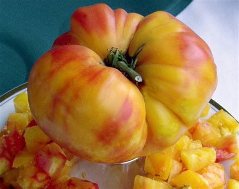 Big Rainbow Tomato 50 Seeds - Heirloom - Hirt's Gardens