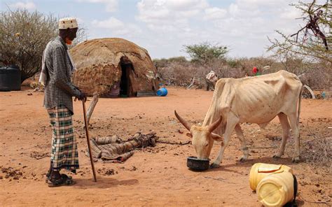 Cash in Kenya helps families cope with drought. | Oxfam