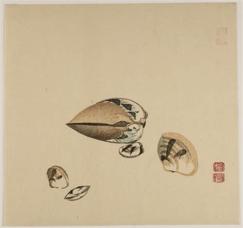 Philadelphia Museum of Art — More Art Monday: Shells Sally sells ...