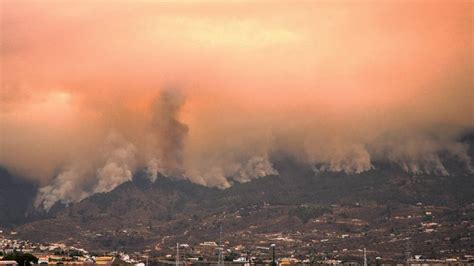 The Tenerife fire is the "most complex" fire in the Canary Islands in ...