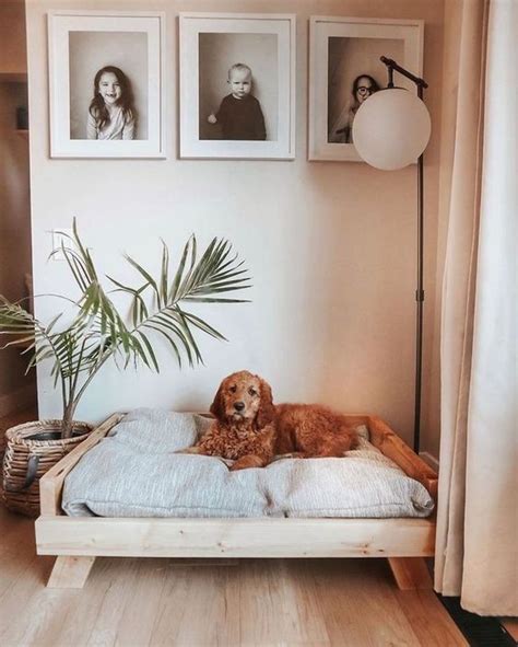 56 Awesome Dog Beds For Indoors And Outdoors - DigsDigs