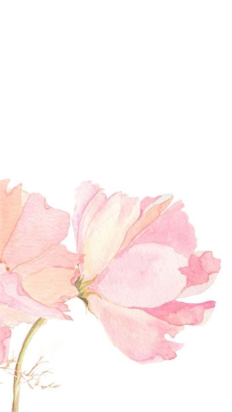 Light Pink Floral iPhone Wallpapers - Top Free Light Pink Floral iPhone Backgrounds ...