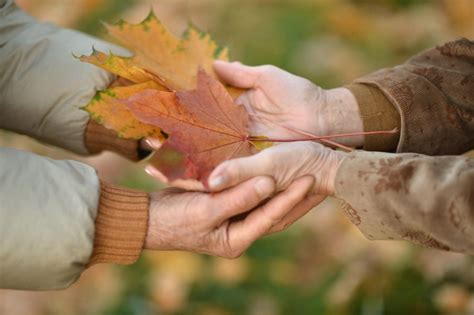 9 Fun Fall Activities for Seniors | Lighthouse Senior Living