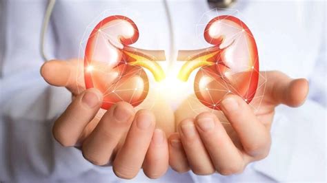 Kidney failure: Top reasons why it happens; warning symptoms | Health - Hindustan Times