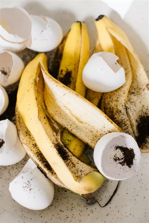 How to Use Banana Peels in Your Compost For The Garden - The Rooted Farmhouse | Gardening ...