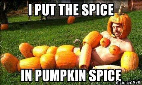 Funny Pumpkin Memes, Puns and Fun | Funny halloween pictures, Funny ...