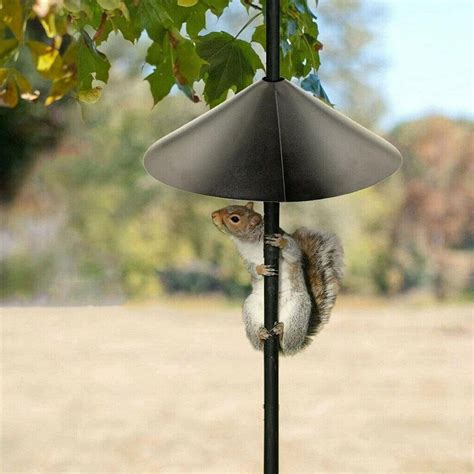 Squirrel Proof Baffle18-Inch Wide Squirrel Guard for Bird | Etsy