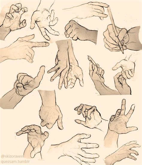 Hands Reference Drawing at GetDrawings | Free download