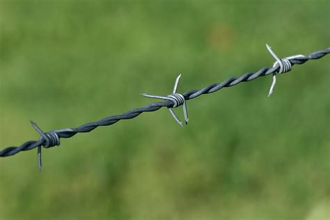 File:Barbed Wire, SC, Victoria, 15.9.2007.jpg - Wikimedia Commons