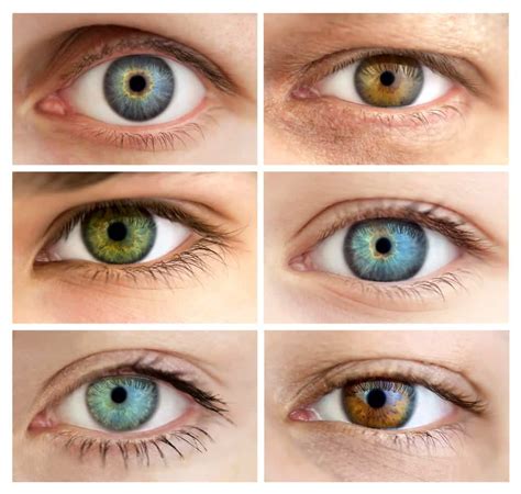 facts about eye color heffingtons house of vision - eyes recessive ...