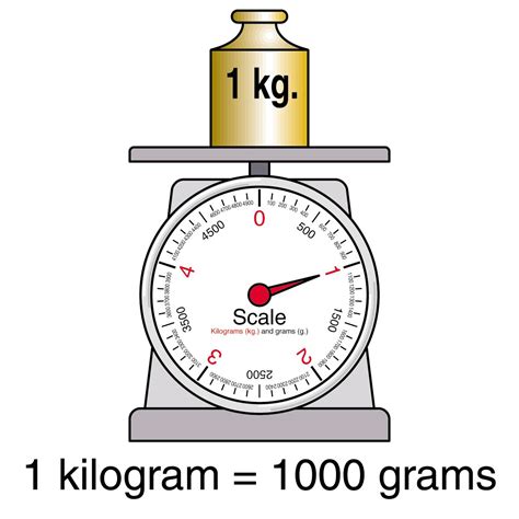 1793 France introduces the first metric weight, the kilogram. | Math measurement, Math for kids ...