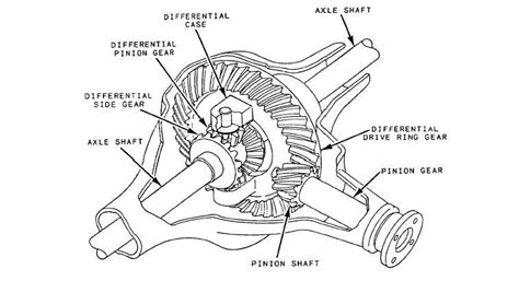 Figure 11-17.Typical differential and axle assembly with ring and pinion.