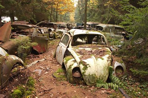 Car graveyard 1 stock photo. Image of environment, vintage - 22715940