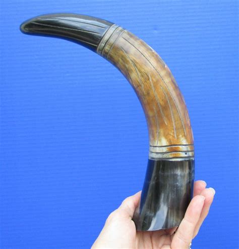 13-7/8 inches Black and Brown Carved and Polished Buffalo Horn