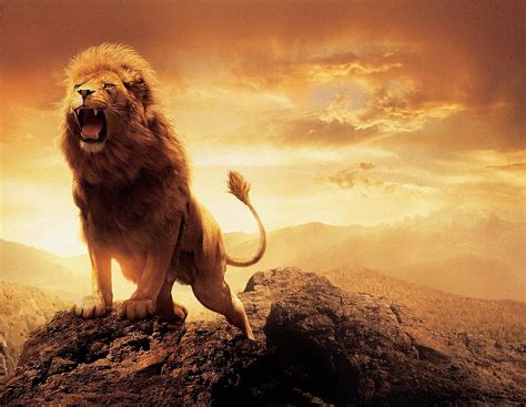 Discover more than 142 roaring lion wallpaper hd best - 3tdesign.edu.vn