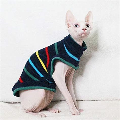 16 Slightly Outrageous Cat Sweaters for Hairless Breeds and Hipster Pets