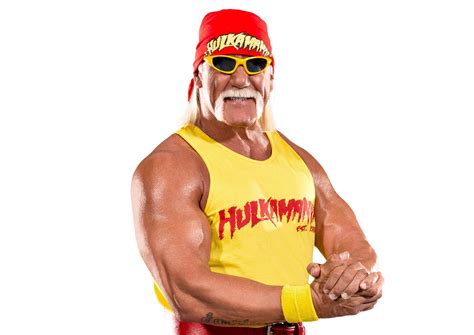 «hulk hogan» HD Wallpapers