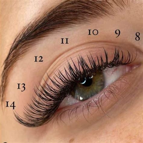 What length of Eyelash Extension should I get? - Lashbrow Artist