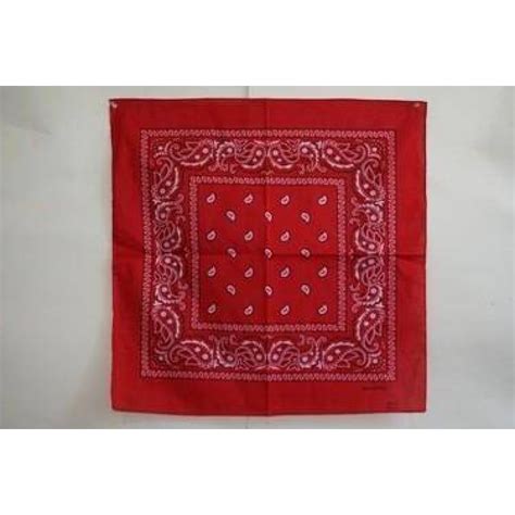 Red Paisley Bandana