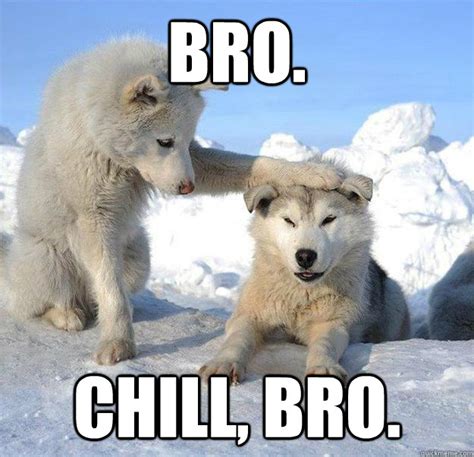 Bro. Chill, bro. - Caring Husky - quickmeme