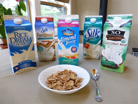 Dairy-free 101: Pros and Cons of Common Milk Alternatives | Living to Smile