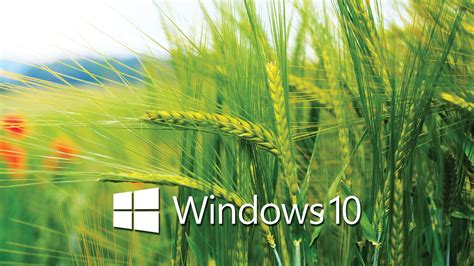 Windows 10 HD Wallpapers - BlogTiz