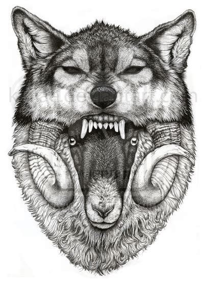 Black And White Wolf Drawing at PaintingValley.com | Explore collection ...