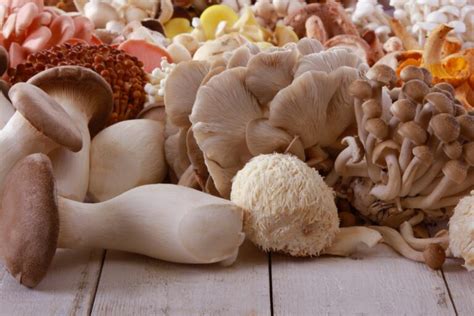 What Are Adaptogenic Mushrooms: Benefits And Uses