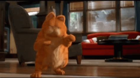 Garfield Dance GIF - Garfield Dance Dancing - Discover & Share GIFs