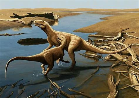 *Smok wawelski was found in the Triassic of Poland 200 mya, / 6m in length, skull length: / 55 ...