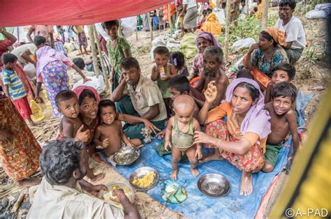 Medical Support for Rohingya women and children - GlobalGiving