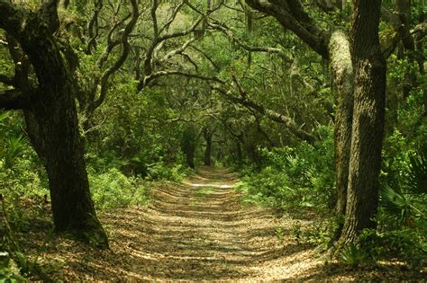 Wilderness Trail Free Stock Photo - Public Domain Pictures