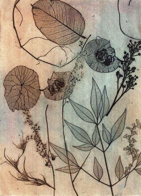 Drypoint Art Etching | Nature Drypoint Etchings | Drypoint etching, Botanical art, Leaf art