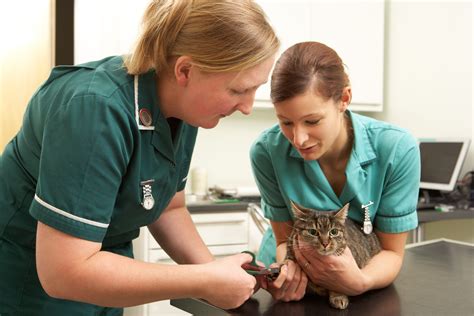 RVN TV reality show about the UK’s registered veterinary nurses - Veterinary Practice