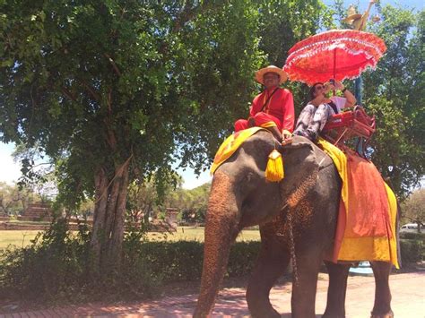 My Travel: Wang Chang Ayuttaya or Ayutthaya Elephant Camp in Thailand
