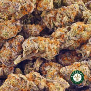 Buy Frosted Fruit Cake AAAA (Popcorn Nugs) Online | West Coast Cannabis