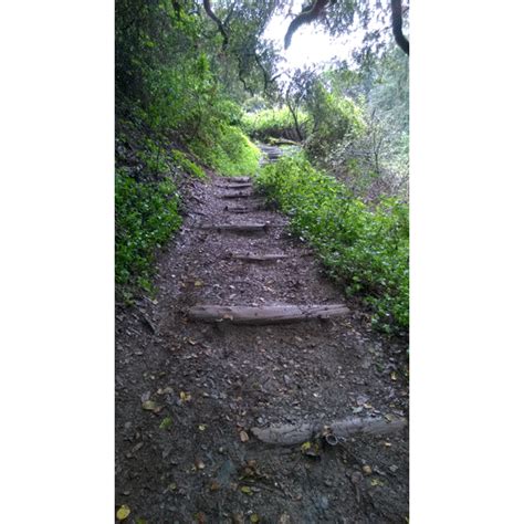 Steps for Hiking Trails in Joaquin Miller Park – OaklandTrails.org