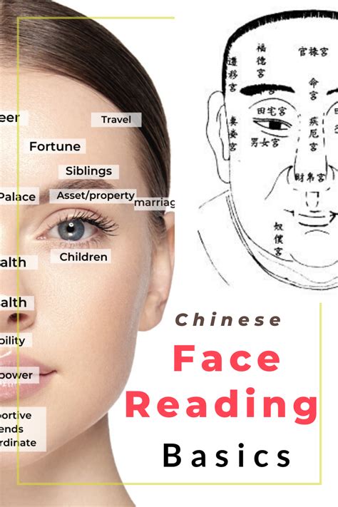 Chinese face reading basics — Picture Healer - Feng Shui and fortune ...