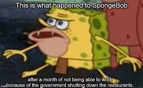 Spongegar Meme - Imgflip