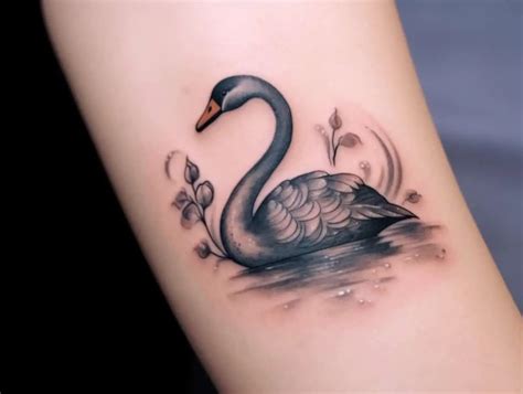 The Elegance: Swan Tattoo Meaning and Designs