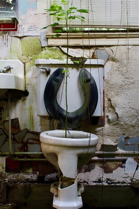 Toilet with plant growing out of it. Abandoned motel in Missouri. Lost Garden, Save Environment ...