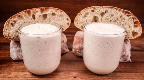 Sourdough Starter vs Commercial Yeast | Can You Get Comparable Results? - YouTube