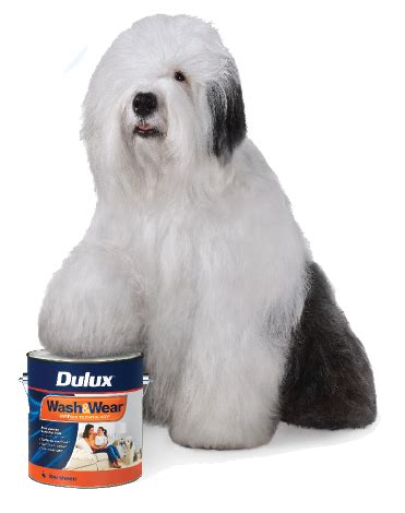 Dulux | Print Management Portal