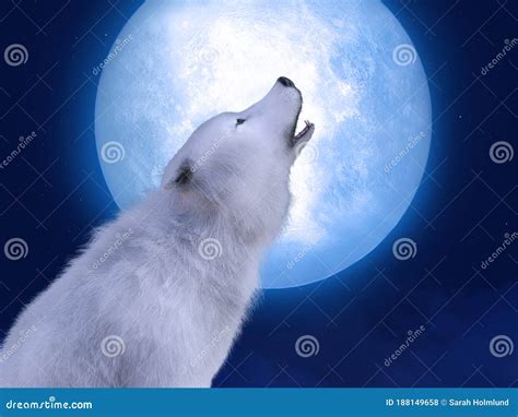 3D Rendering of a Majestic White Wolf Howling in Moonlight Stock Illustration - Illustration of ...