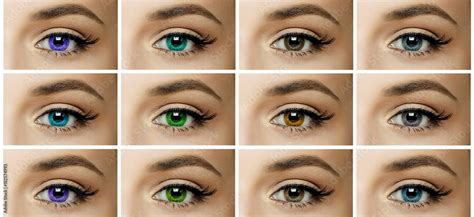 set, collage, different types of color contact lenses. shades of green ...