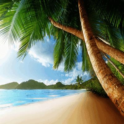 Animated Beach Background, animated , beach , background , summer , tropical , hawaii ...