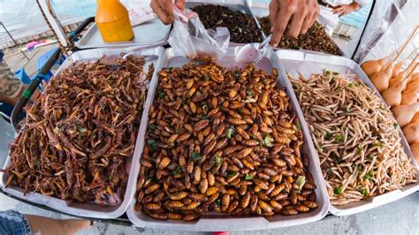 One Way to Make the Planet More Sustainable? Eat Bugs (Crickets ...